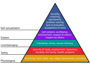 675px-Maslow's_Hierarchy_of_Needs.svg